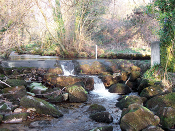 West Webburn river West Webburn river